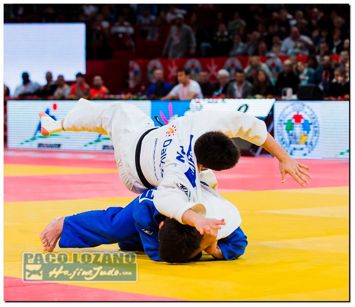 Paris 2014 by P.Lozano cat -90 kg_PLM4018